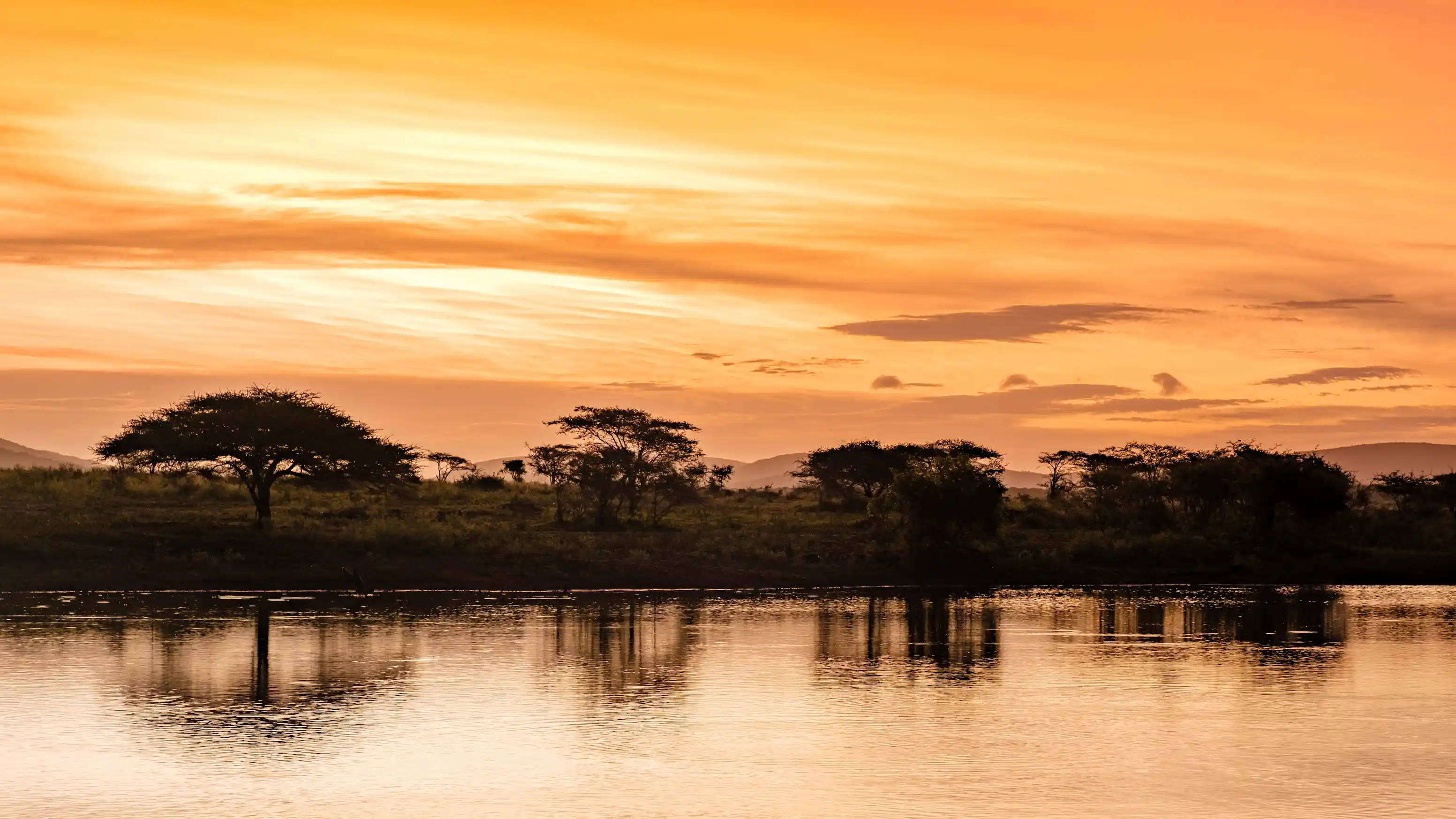 Savanne Sonnenuntergang am Fluss