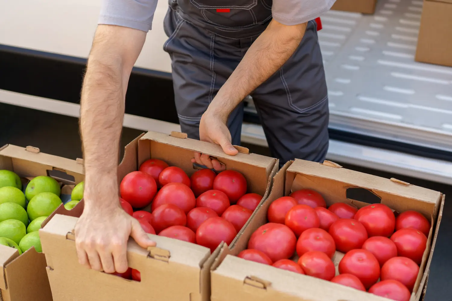 Nahrungsmittel­versorgung